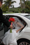 Nienke and Johan 16