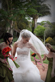 Nienke and Johan 18