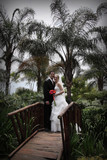 Nienke and Johan 33