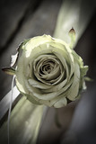 Gerda and Wesley 52