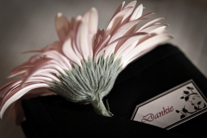 Jenny and Hendrik 18