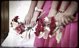 Jenny and Hendrik 113