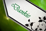 Jenny and Hendrik 19