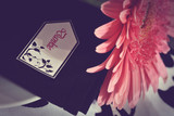 Jenny and Hendrik 24