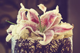 Lenay and Johan 20