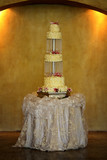 Jozette and Ruan 36