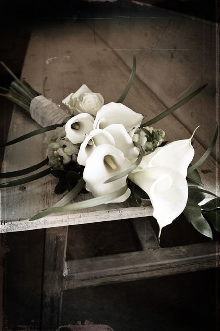 Nadene and Francois 56