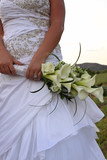 Nadene and Francois 10