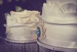 Nadene and Francois 171