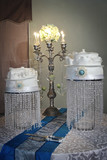 Nadene and Francois 185
