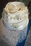 Nadene and Francois 186
