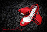 Nadene and Francois 19