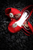Nadene and Francois 23