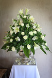 Nadene and Francois 88