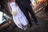 Jenny and Paul 82