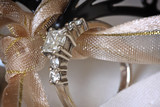 Jani and Cornel 56