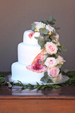 Louise and Dewald 161