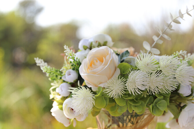 Anandi and Johann 18