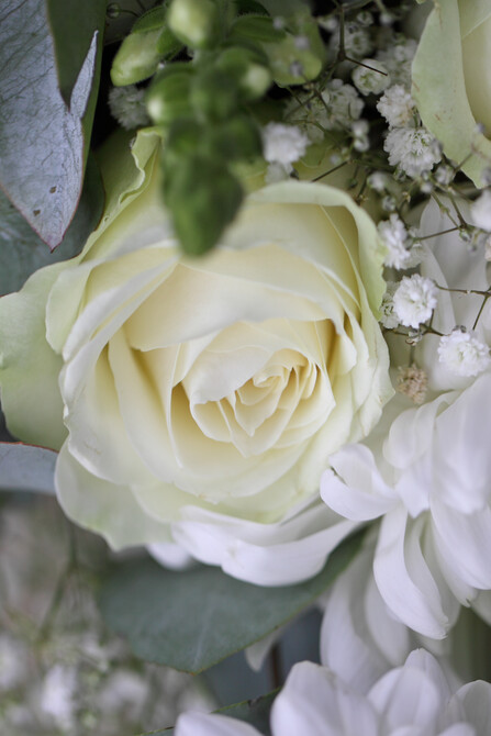 Bronwyn and Andrew 26