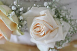 Melissa and Arnau 31