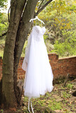 Melissa and Arnau 49