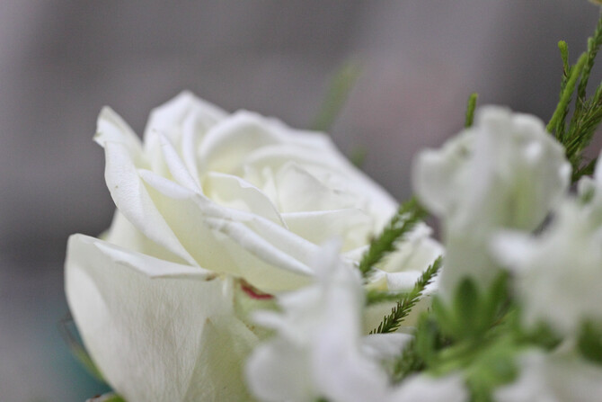 Thea and Nelius 87