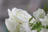 Thea and Nelius 87