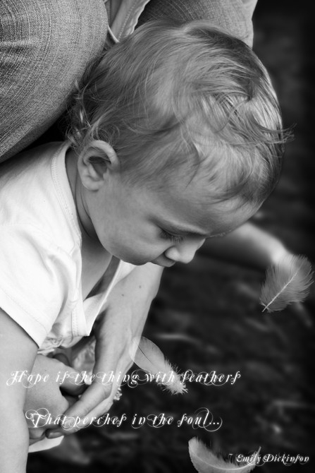 Potgieter Family 14