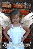 Lord Family 29