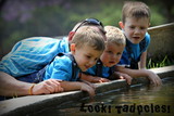 Voordewind Family 15