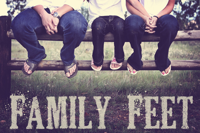 Bull Family 24