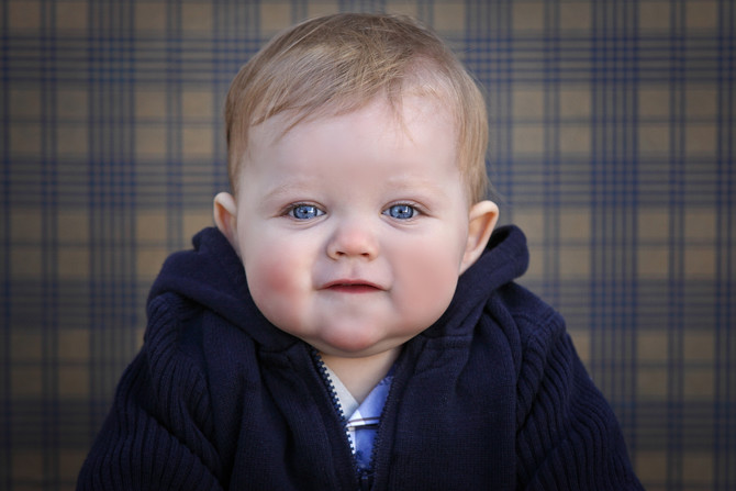 de Leeuw Family 12