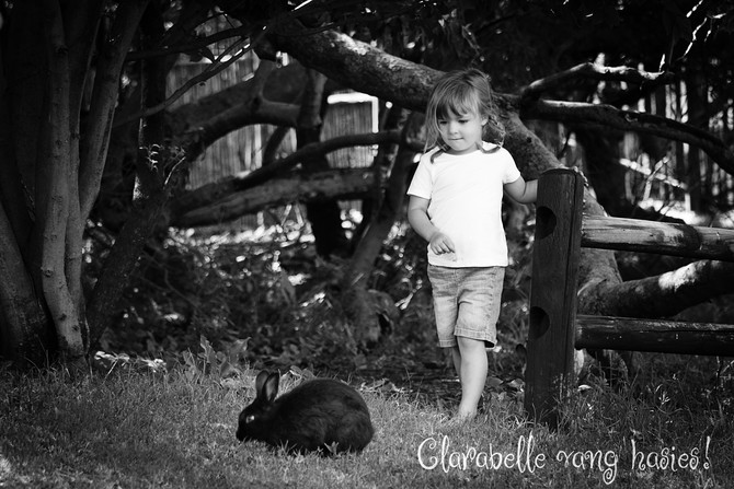 Haasbroek Family 16