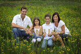Cress and Ball Families