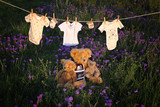 Du Plessis Family 31