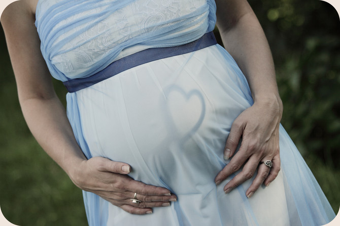 Schauer Family 8