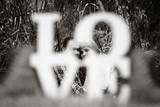 Jolanda and Warren 21