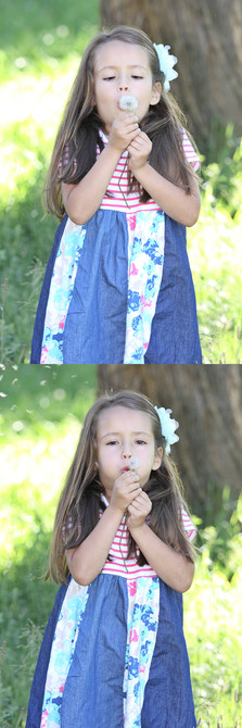 Meyer Family 16