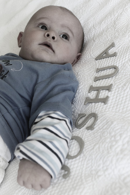 Joshua Maree 3