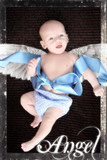 Bayden Joubert 15