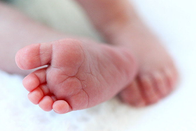 Alexander Eloff 4