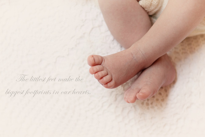 Amore Barnard 18