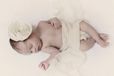 Amore Barnard 22