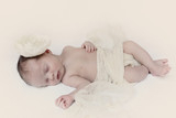 Amore Barnard 23