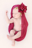 Amelie Viljoen 12