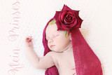Amelie Viljoen 13