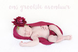 Amelie Viljoen 14