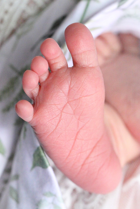 Annabelle Brink 47