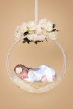Annabelle Brink