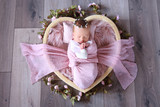 Annabelle Brink 12